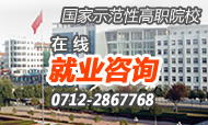 就业咨询